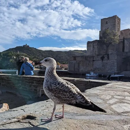 Casa Albera N1 Des Villages Préférés Des Français * Collioure