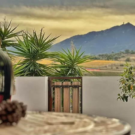 Casa Albera N1 Des Villages Préférés Des Français * Collioure