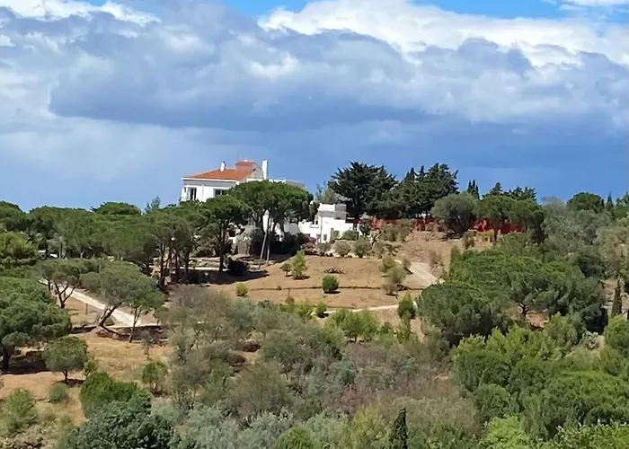 Διαμέρισμα Casa Albera N1 Des Villages Preferes Des Francais Κολιούρ